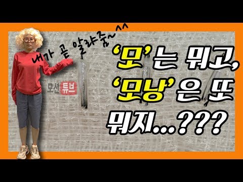 [모션의원] 모?? 모낭?? 어떤차이가 있을까...?