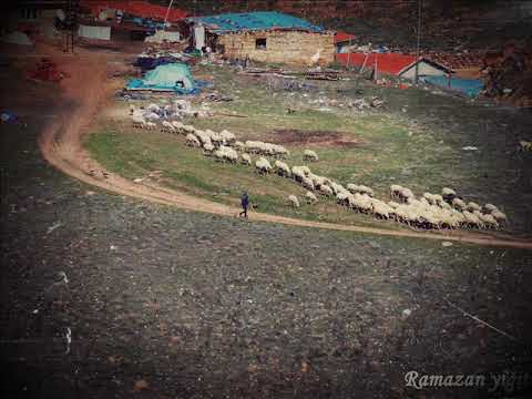 TRT ARA MÜZİKLERİ / 1976