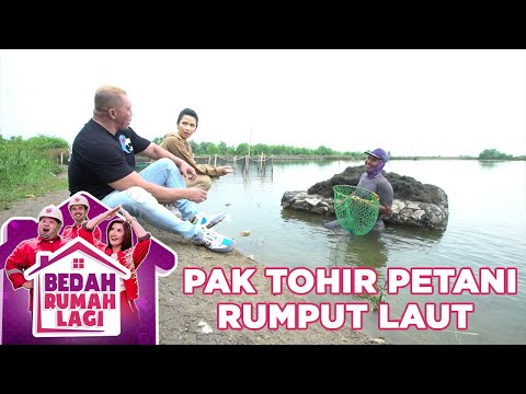 PAK TOHIR BEKERJA SEBAGAI PETANI RUMPUT LAUT- BEDAH RUMAH LAGI