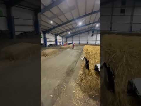 PIT BIKE SUPERCROSS SX WORX TYLA HOOLEY #101 #shorts #viral