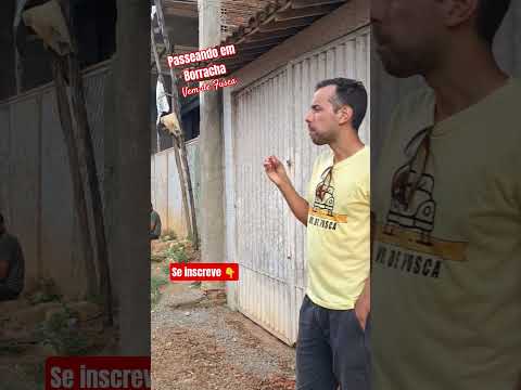 Borracha | Vicência-PE