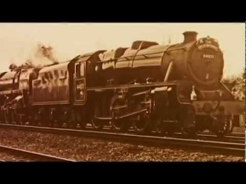 Documentario Mastodonte dei Giovi