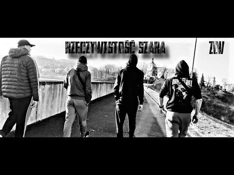 ZLW - Rzeczywistość szara (prod. PREMIERARENA BEATZ)
