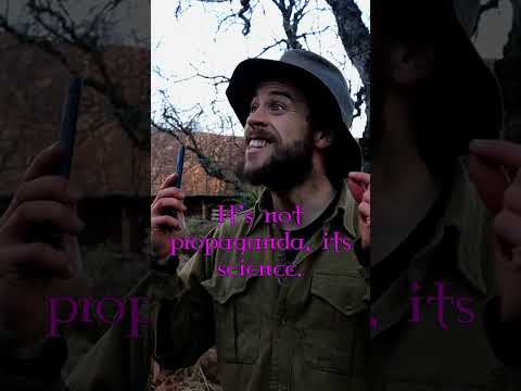 One Sentence to Save Us From Algorithm Insanity?