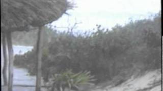 preview picture of video 'HURRICANE ISIDORE AS I SAW IT TEN YEARS AGO.mpg'