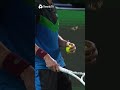 Daniil Medvedev Gets INTERRUPTED By A Butterfly ??