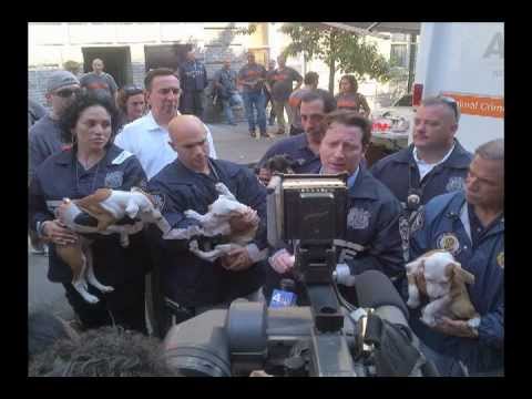 06 21 12 Dog Cruelty Arrests