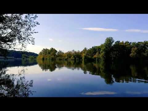 BEAUTIFUL NATURE VIDEO #RELAXING BIRD SOUND #NATURE #LIFE STYLE WITH HABIBA