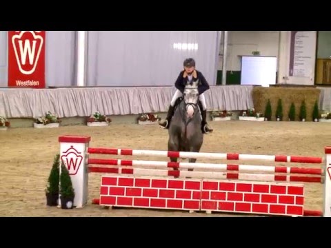 31 Blickfang  Stute v. Camax L - Pilot