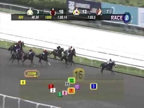 Captivate winning SINGAPORE TURF CLUB 03/02/2013 RACE 2