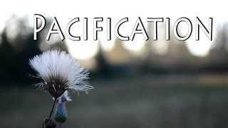preview picture of video 'Pacification'