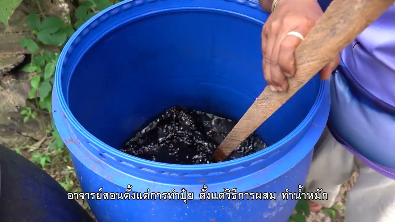 นวัตกรรมเพื่อยกระดับคุณภาพขมิ้นด้วง