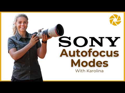 Sony Autofocus Modes Explained by Karolina