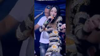 Download lagu DIFARINA INDRA JAMBU ALAS mp3 Download lagu DIFARINA INDRA JAMBU ALAS mp3