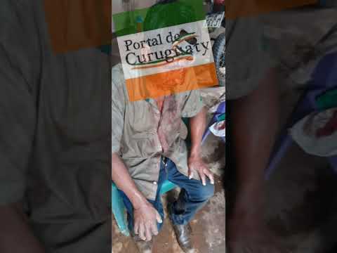 Hipólito Silva Roa habla del hecho ocurrido en Yby Pytã Canindeyú