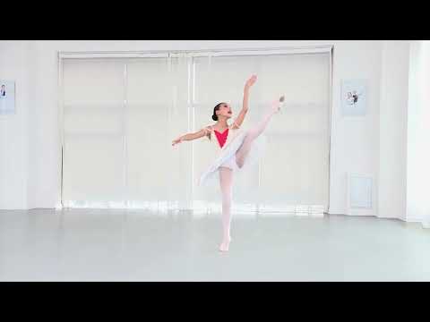 Gereltsondor Taishir (Mongolia) - Paquita variation