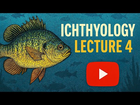 Ichthyology - Lecture 4 | Buoyancy in Fish | Swim Bladders, Oils & Adaptations Explained