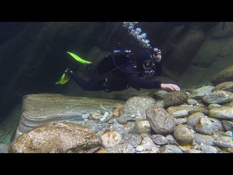Flusstauchen in Verzasca & Maggia Tal / Wolfsrachen / Posse / GoPro