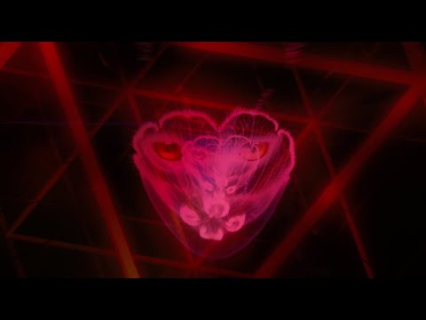 Becky Hill x Galantis - Run (Official Lyric Video)