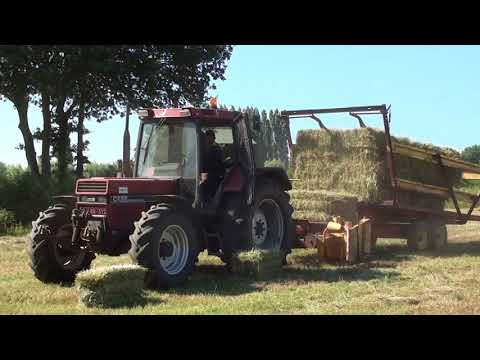 Loonw. Ripatrac - Koekelare - New Holland 1006 C - Ford TW-15 - International 956 XL