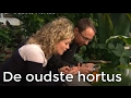 STE -   Oudste Hortus | Het Klokhuis