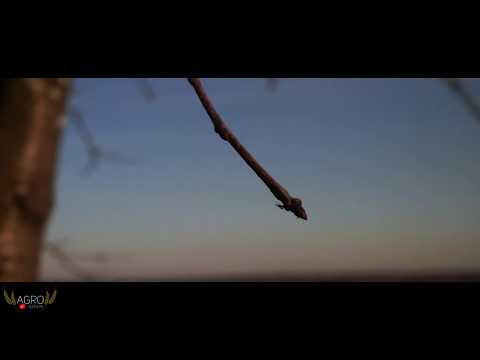 Zapowiedź Sezonu 2020 🇵🇱 | Test Filtrów ND | Agro Futory |