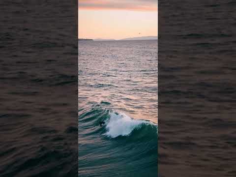 Silky - Peaches and cream