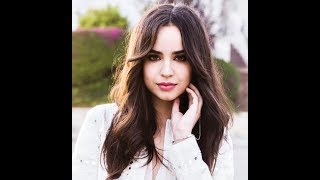 Sofia Carson, Alan Walker - Back to Beautiful LYRICS
