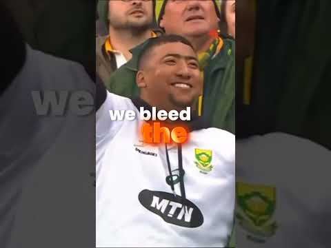 The don't know what we know - Springboks