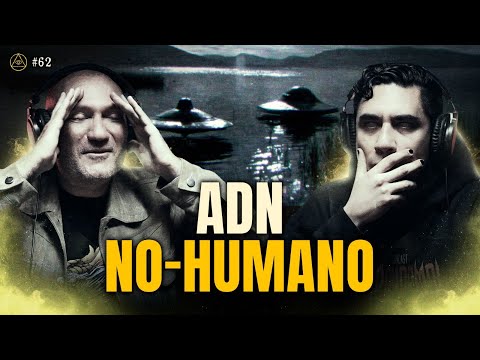 CRÁNEOS EXTRATERRESTRES: RESTOS QUE DESAFÍAN LA HISTORIA HUMANA