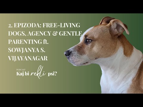Free-living dogs, agency and gentle parenting ft. Sowjanya S. Vijayanagar