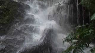 Before I Go by Chris Rea