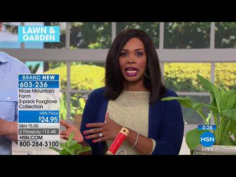 HSN | Home Gardening featuring P. Allen Smith Premiere 03.23.2018 - 02 AM