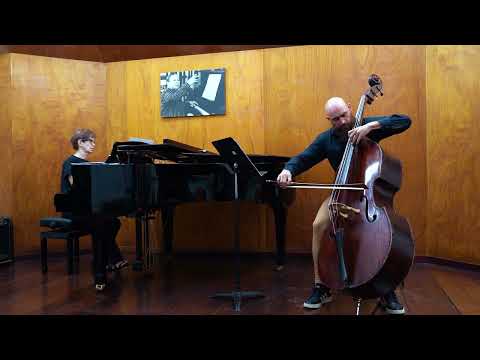 Orchestra Performance by Facundo Estefanell