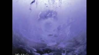 Vir Unis - Letting Go of This Radiant Hive