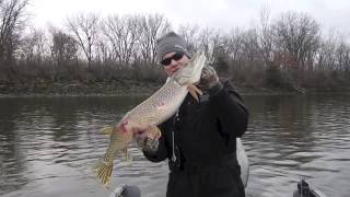 preview picture of video 'Pool 4 Mississippi River 2014 Christmas Walleye'