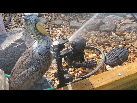 How to protect your Koi pond against Birds, raccoons or really any pest