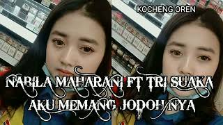 Download lagu DJ AKU MEMANG JODOHNYA TRI SUAKA FT NABILA MAHARANI REMIX BREAKBEAT 2022 mp3 Download lagu DJ AKU MEMANG JODOHNYA TRI SUAKA FT NABILA MAHARANI REMIX BREAKBEAT 2022 mp3