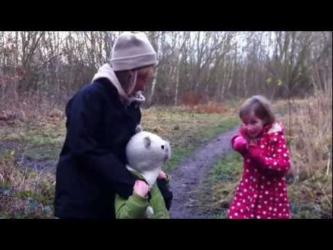 Dinosaur that Came to Walton, Wakefield