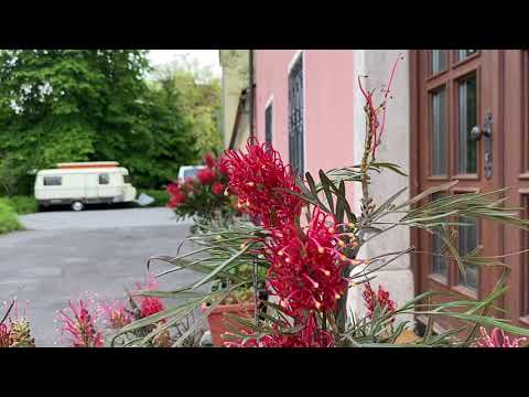 O Lord please hear my prayer