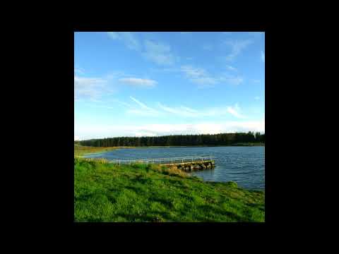 [FREE] midwest emo x nothing,nowhere. x skele x sewerperson type beat - where we are.