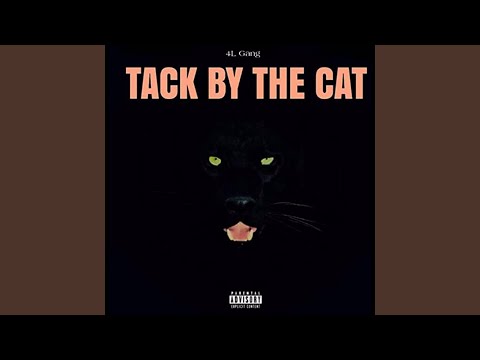 Tack By The Cat