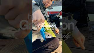 🎣fishing at Galveston