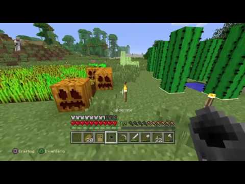 Minecraft #9:Stanza delle pozioni!