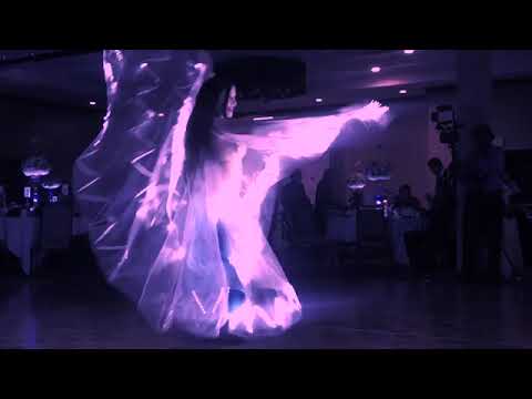 Promotional video thumbnail 5 for Samara Entertainment