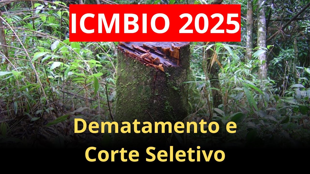Desmatamento e Corte Seletivo