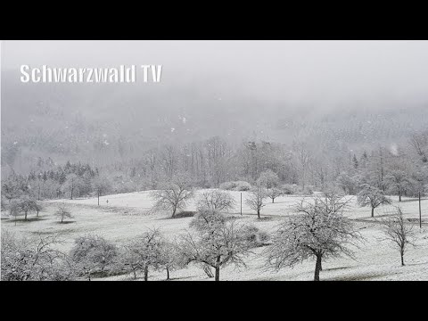 🚨😷 Lockdown bis 07.03. - Friseure ab 01.03. Schulen ab 22.02.  - Merkel & Kretschmann Live [10.02.]