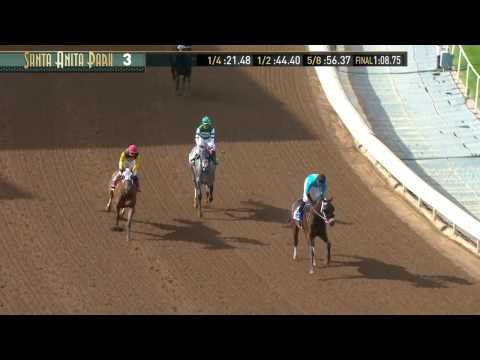 Palos Verdes Stakes (Gr. II) - February 4, 2017