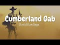 David Rawlings - Cumberland Gap (Lyrics)