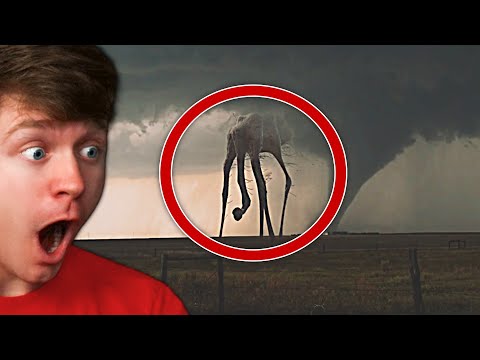 CRAZIEST MONSTER VIDEOS in REAL LIFE!? (Reaction)